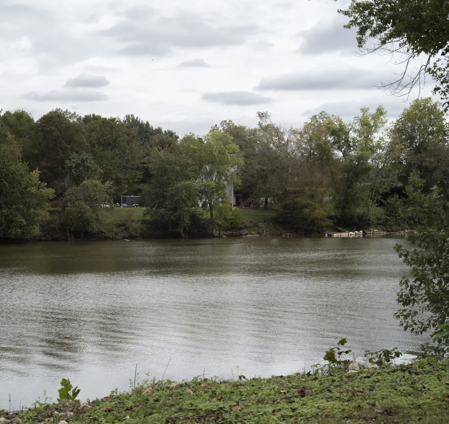 A pond surrounded by trees and grass.