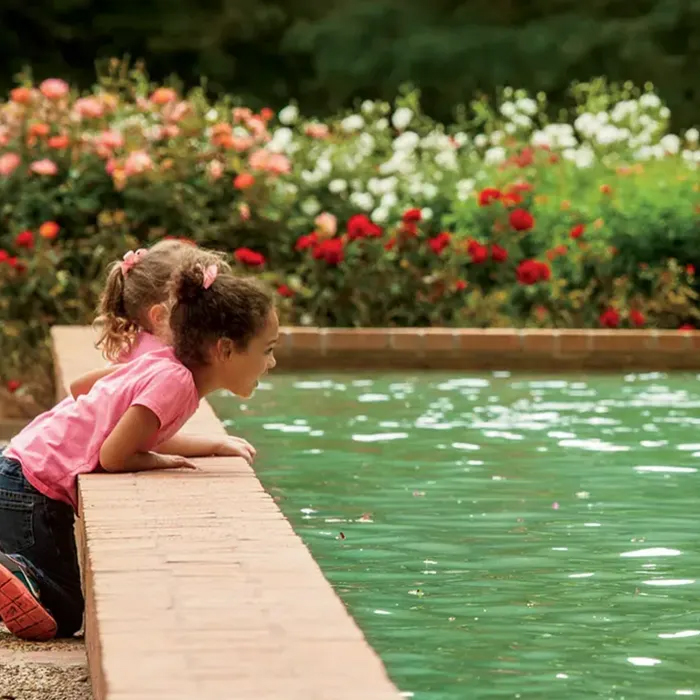 Screenshot_2025-10-24_at_2.10.51PM_original Children looking into a formal pond.
